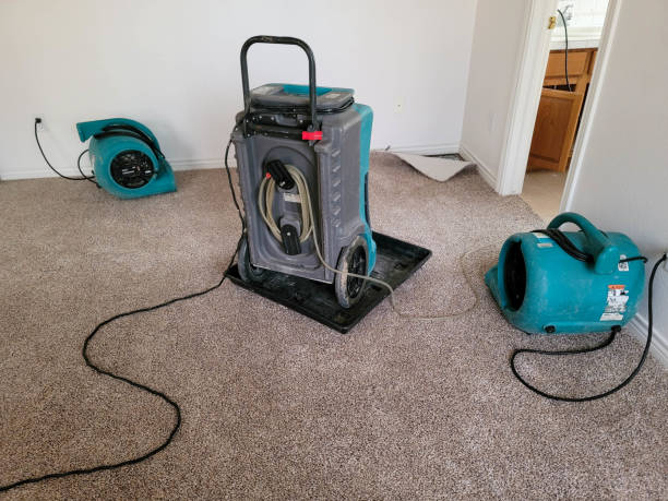 Best Professional water damage repair  in Brown City, MI