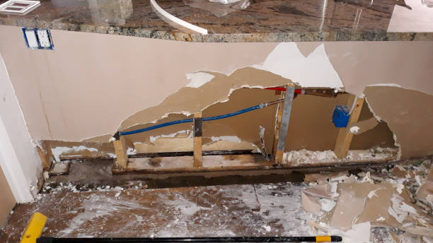 Best Carpet water damage restoration  in Brown City, MI