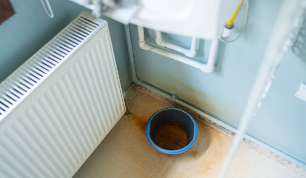 Best Ceiling water damage repair  in Brown City, MI